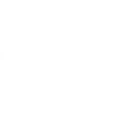 Prime Medicine, Inc. Share Price